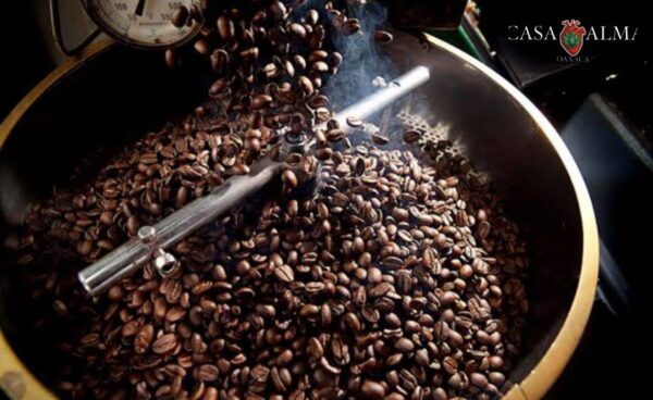 Café Pluma Hidalgo (1 kg)
