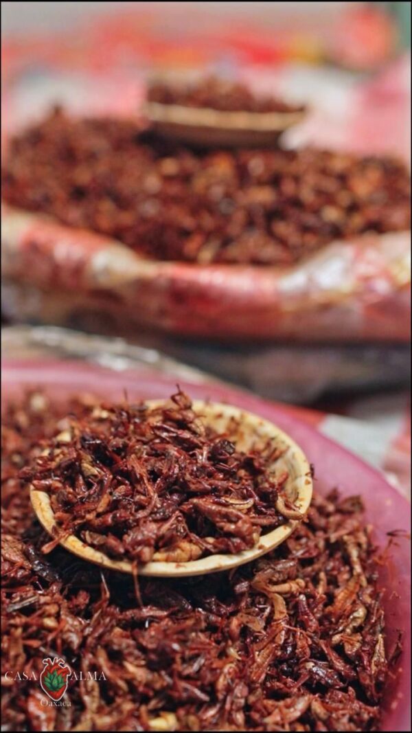 Chapulines (1/2 kg)